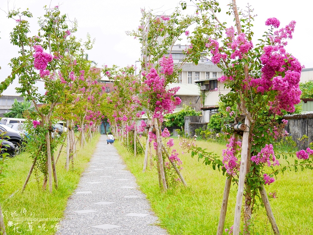 P1510101.jpg P1510101.jpg