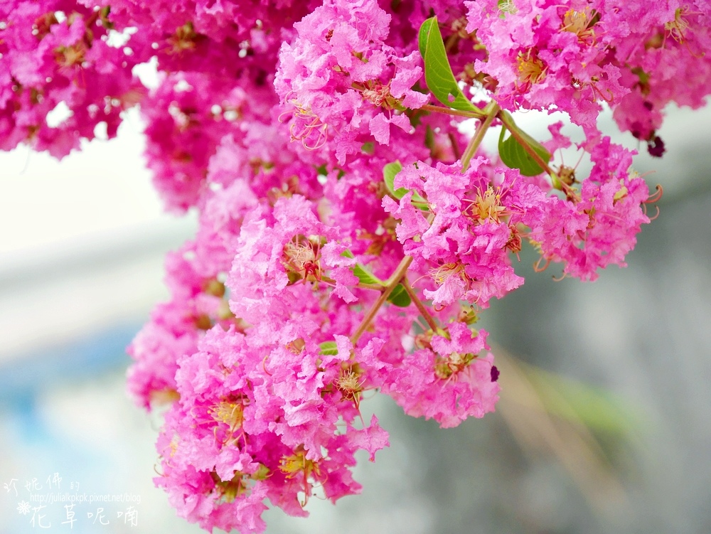 P1510104.jpg P1510104.jpg