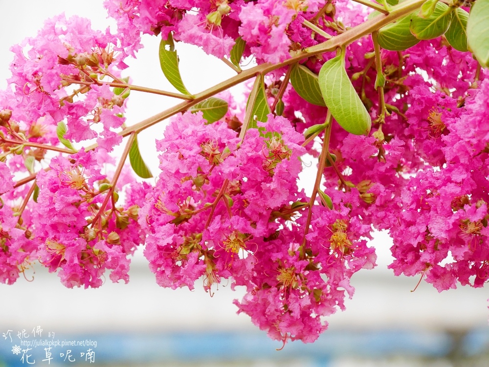 P1510105.jpg P1510105.jpg