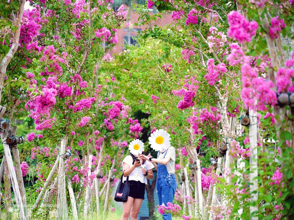 P1510109.jpg P1510109.jpg