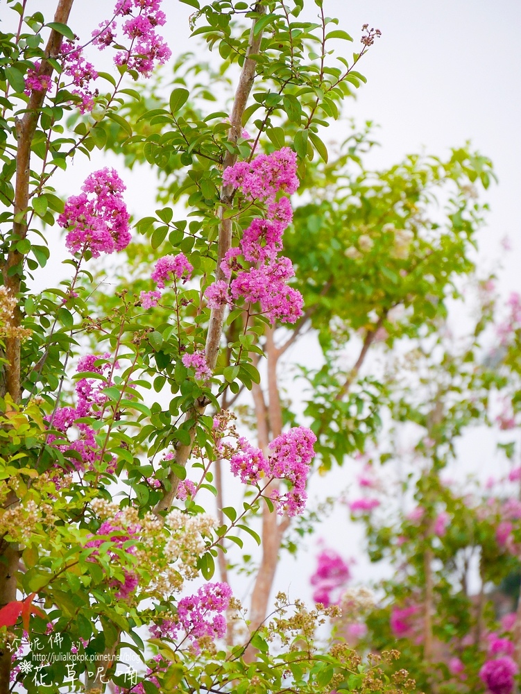 P1510114.jpg P1510114.jpg