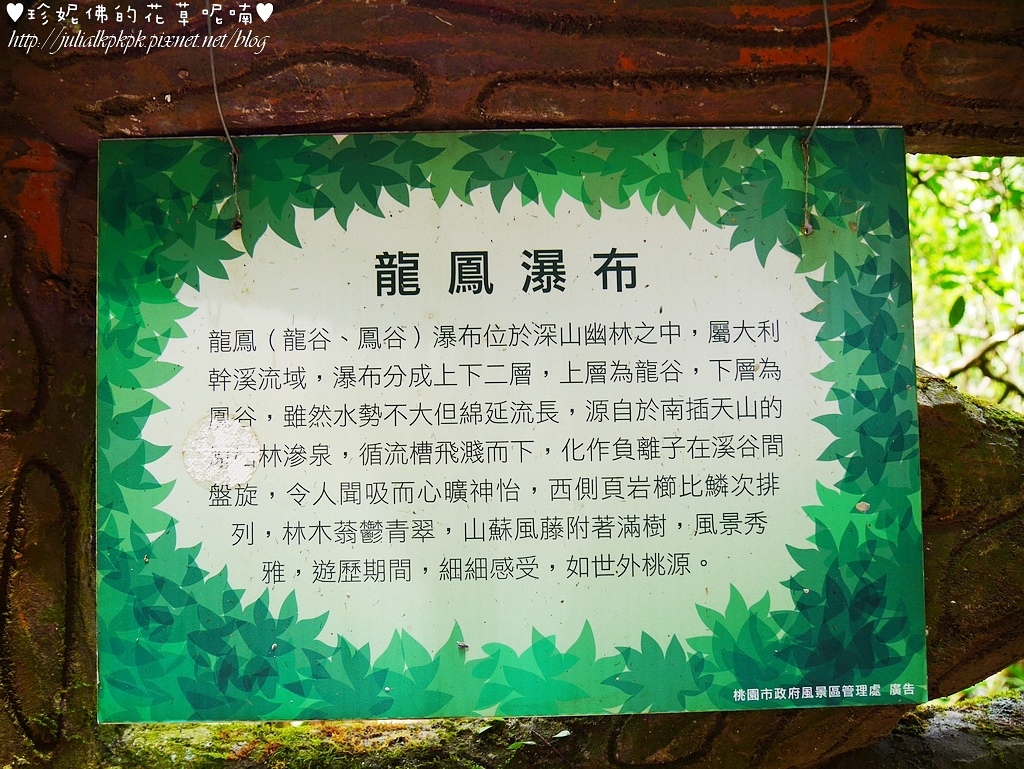 24.jpg 24.jpg