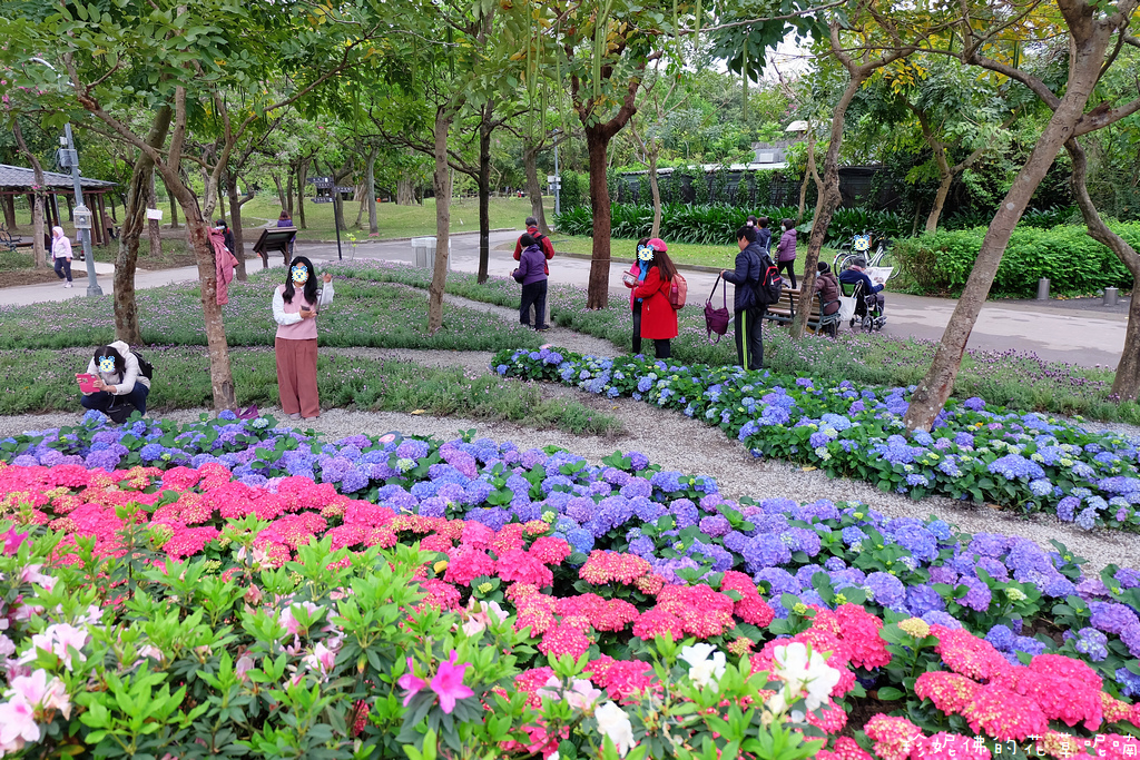 台北 大安區 21大安森林公園杜鵑花季2 3 31 珍妮佛的花草呢喃 痞客邦 台北 大安區 21大安森林公園杜鵑花季2 3 31 珍妮佛的花草呢喃 痞客邦