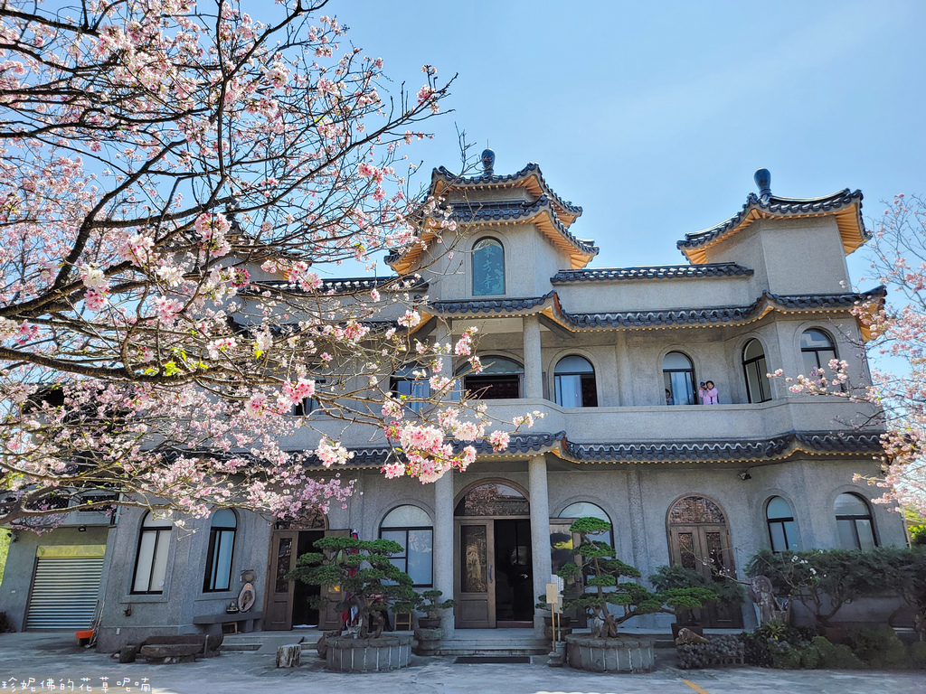 東方 寺 紫藤