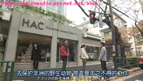 杜立德09 杜立德09