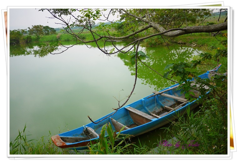 關渡自然公園13