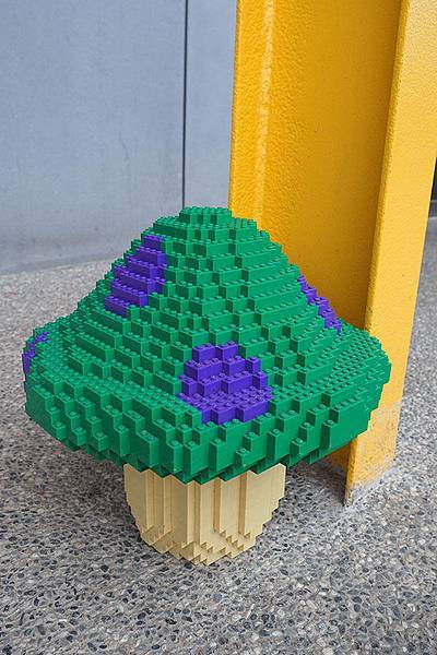 P2211349.JPG P2211349.JPG