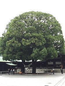 相片 2015-7-7 上午9 17 29_調整大小.jpg 相片 2015-7-7 上午9 17 29_調整大小.jpg