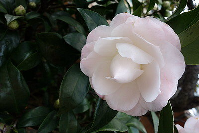 DSC03225_調整大小.JPG DSC03225_調整大小.JPG