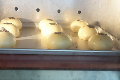 DSC03252_調整大小.JPG DSC03252_調整大小.JPG