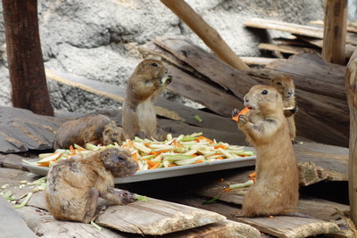 2016-08-20 11.34.55_調整大小.jpg 2016-08-20 11.34.55_調整大小.jpg