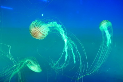 2016-08-21 12.02.52_調整大小.jpg