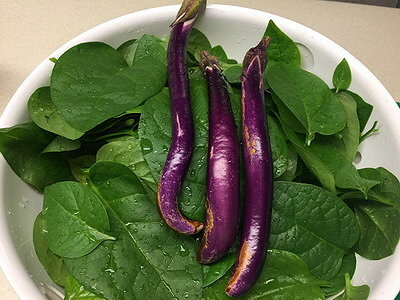 相片 2016-9-25 上午9 36 26_調整大小.jpg