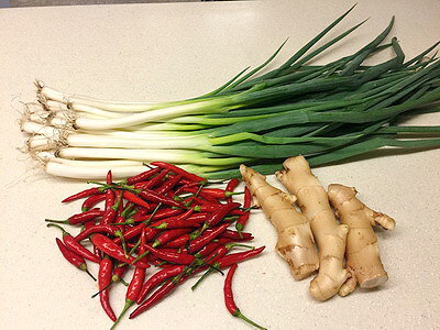 相片 2016-10-30 上午9 48 50_調整大小_exposure.jpg