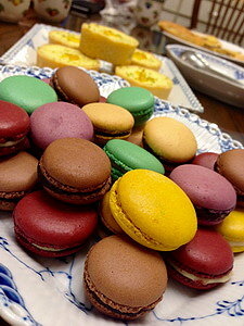 相片 2016-11-1 下午6 15 00_調整大小.jpg