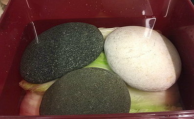 相片 2016-12-25 上午11 11 18_調整大小_exposure 相片 2016-12-25 上午11 11 18_調整大小_exposure