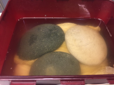 相片 2017-1-15 下午1 55 21_調整大小.jpg