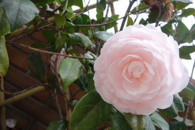 2017-03-15 12.01.50_調整大小.jpg 2017-03-15 12.01.50_調整大小.jpg