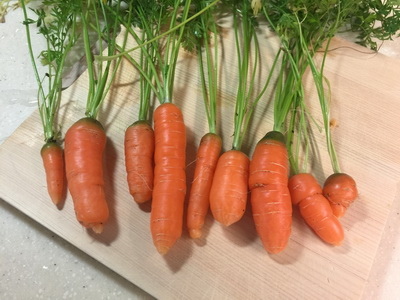 相片 2017-3-18 上午9 39 12_調整大小.jpg