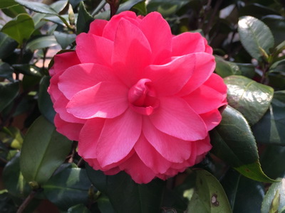 相片 2017-4-9 下午12 52 56_調整大小.jpg