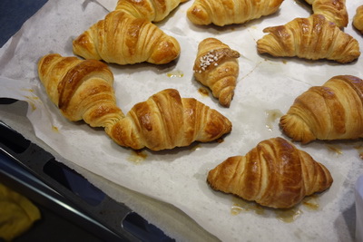 DSC06399_調整大小.JPG DSC06399_調整大小.JPG