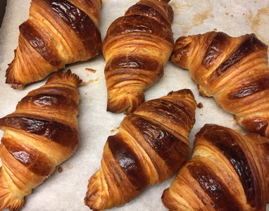 S__17006594_調整大小.jpg S__17006594_調整大小.jpg