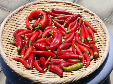 DSC08419_調整大小.JPG DSC08419_調整大小.JPG