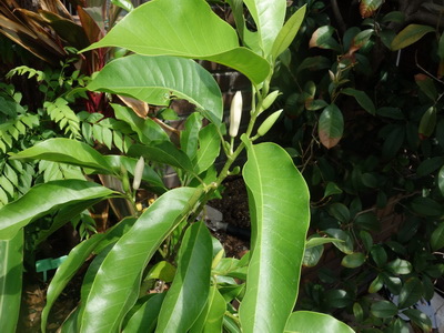 DSC08422_調整大小.JPG DSC08422_調整大小.JPG