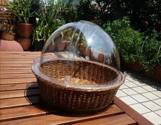 DSC08449_調整大小.JPG DSC08449_調整大小.JPG