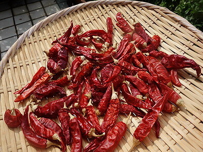 DSC08452_調整大小.JPG DSC08452_調整大小.JPG