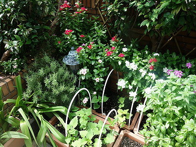 DSC08426_調整大小.JPG DSC08426_調整大小.JPG