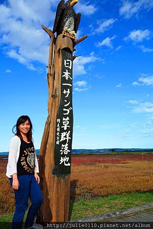 北海道 網走能取湖 秋的紅色珊瑚草 茱莉扁扁環遊世界中 痞客邦 北海道 網走能取湖 秋的紅色珊瑚草 茱莉扁扁環遊世界中 痞客邦