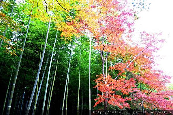 京都 紅葉 嵐山賞楓單車小旅行 天龍寺與竹林小徑 茱莉扁扁環遊世界中 痞客邦 京都 紅葉 嵐山賞楓單車小旅行 天龍寺與竹林小徑 茱莉扁扁環遊世界中 痞客邦