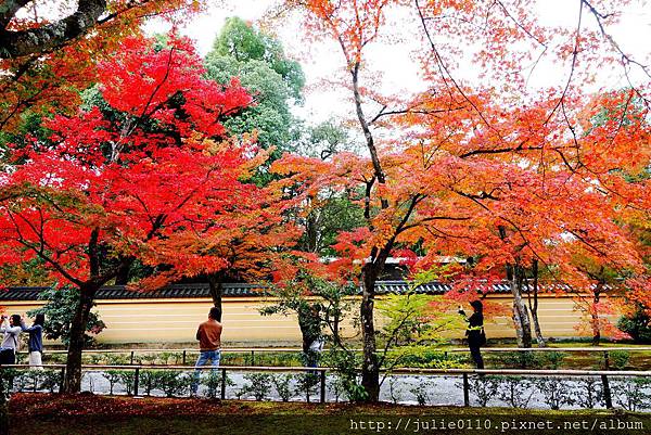 京都 紅葉 金箔與楓紅交織的詩篇 秋的金閣寺 茱莉扁扁環遊世界中 痞客邦 京都 紅葉 金箔與楓紅交織的詩篇 秋的金閣寺 茱莉扁扁環遊世界中 痞客邦