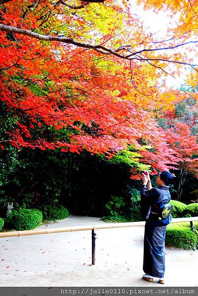 京都 紅葉 秋日賞楓和服一日穿搭計畫 岡本織物和服初體驗 茱莉扁扁環遊世界中 痞客邦 京都 紅葉 秋日賞楓和服一日穿搭計畫 岡本織物和服初體驗 茱莉扁扁環遊世界中 痞客邦