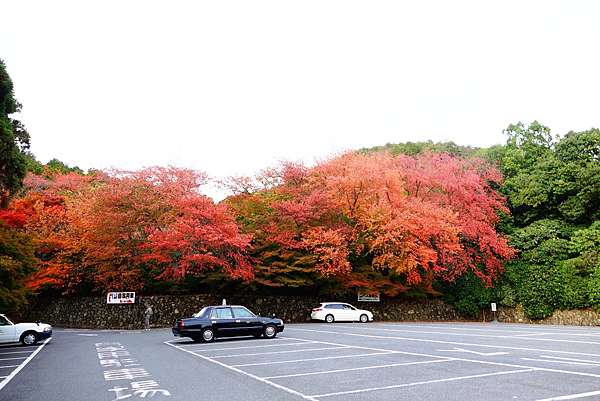 京都 紅葉 石庭之禪 楓紅之美 龍安寺 茱莉扁扁環遊世界中 痞客邦 京都 紅葉 石庭之禪 楓紅之美 龍安寺 茱莉扁扁環遊世界中 痞客邦
