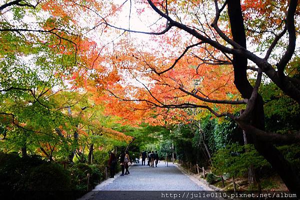 京都 紅葉 石庭之禪 楓紅之美 龍安寺 茱莉扁扁環遊世界中 痞客邦 京都 紅葉 石庭之禪 楓紅之美 龍安寺 茱莉扁扁環遊世界中 痞客邦