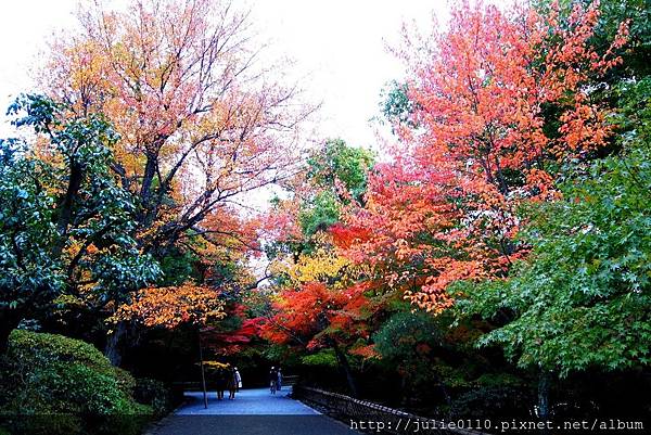 京都 紅葉 石庭之禪 楓紅之美 龍安寺 茱莉扁扁環遊世界中 痞客邦 京都 紅葉 石庭之禪 楓紅之美 龍安寺 茱莉扁扁環遊世界中 痞客邦