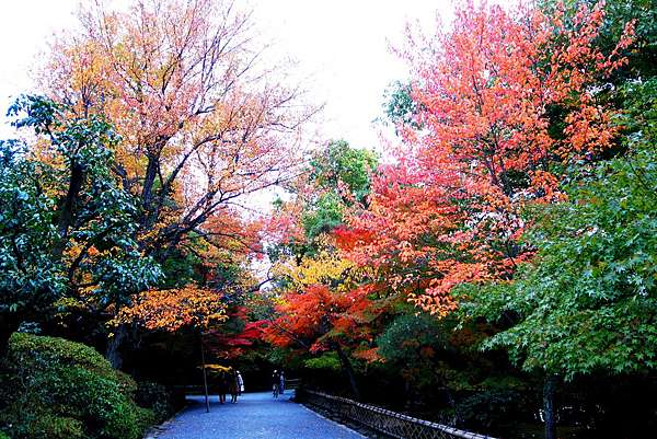 京都 紅葉 石庭之禪 楓紅之美 龍安寺 茱莉扁扁環遊世界中 痞客邦 京都 紅葉 石庭之禪 楓紅之美 龍安寺 茱莉扁扁環遊世界中 痞客邦
