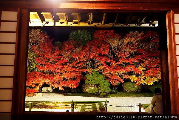 京都 紅葉 黑夜中優雅的紅葉庭園 天授庵賞夜楓 茱莉扁扁環遊世界中 痞客邦