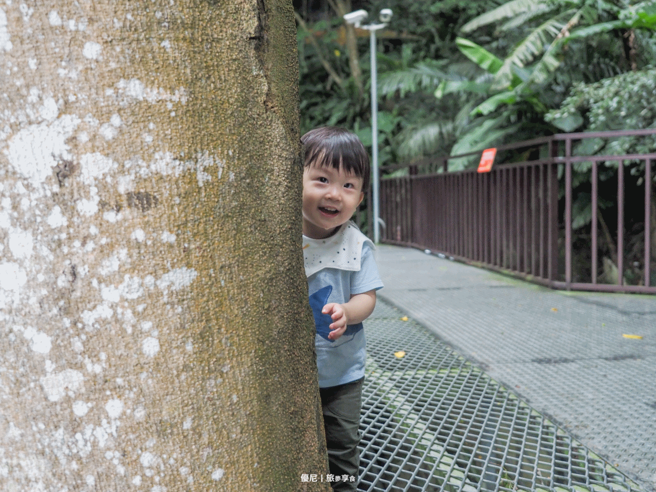 苗栗南庄 | 走進童話世界裡的森林蘑菇精靈莊園＿內有門票優惠
