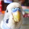 IMG_0583.JPG IMG_0583.JPG