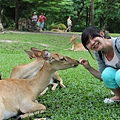 IMG_0159 IMG_0159
