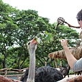 IMG_0233 IMG_0233