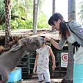 IMG_0581 IMG_0581