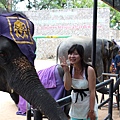 IMG_0705 IMG_0705