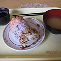 Japan 2011 2a.jpg