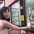 Japan 2011 4a.jpg