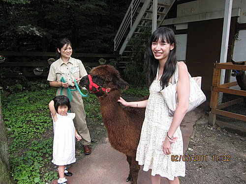 Japan 2011 4c.jpg