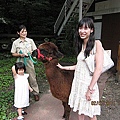 Japan 2011 4c.jpg